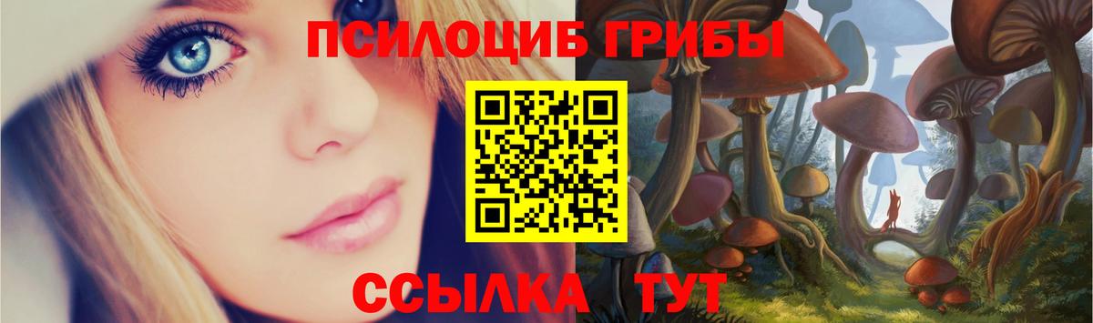 Псилоцибиновые грибы Psilocybe Кандалакша